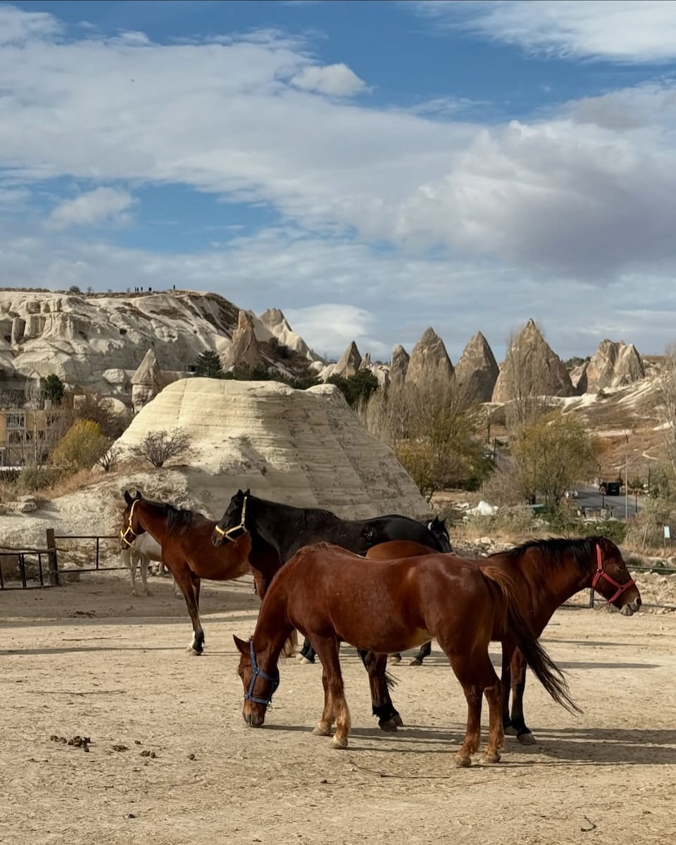 Turkey, Cappadocia