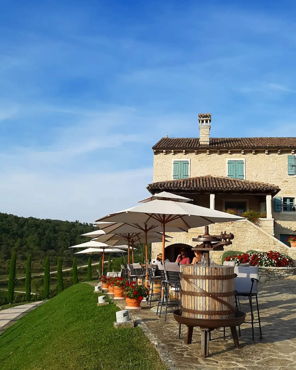 Vineyards of Istria, Pula