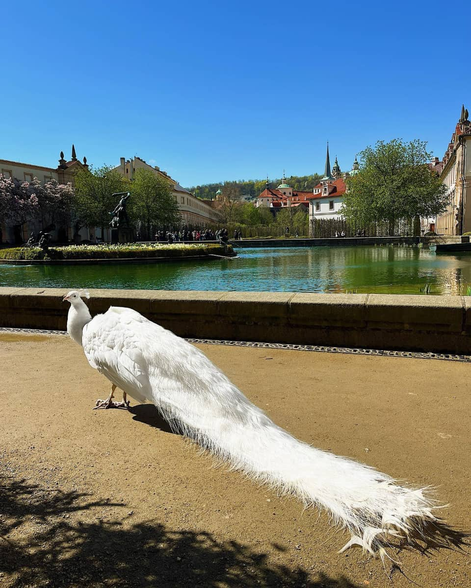 Wallenstein Garden, Czech Republic