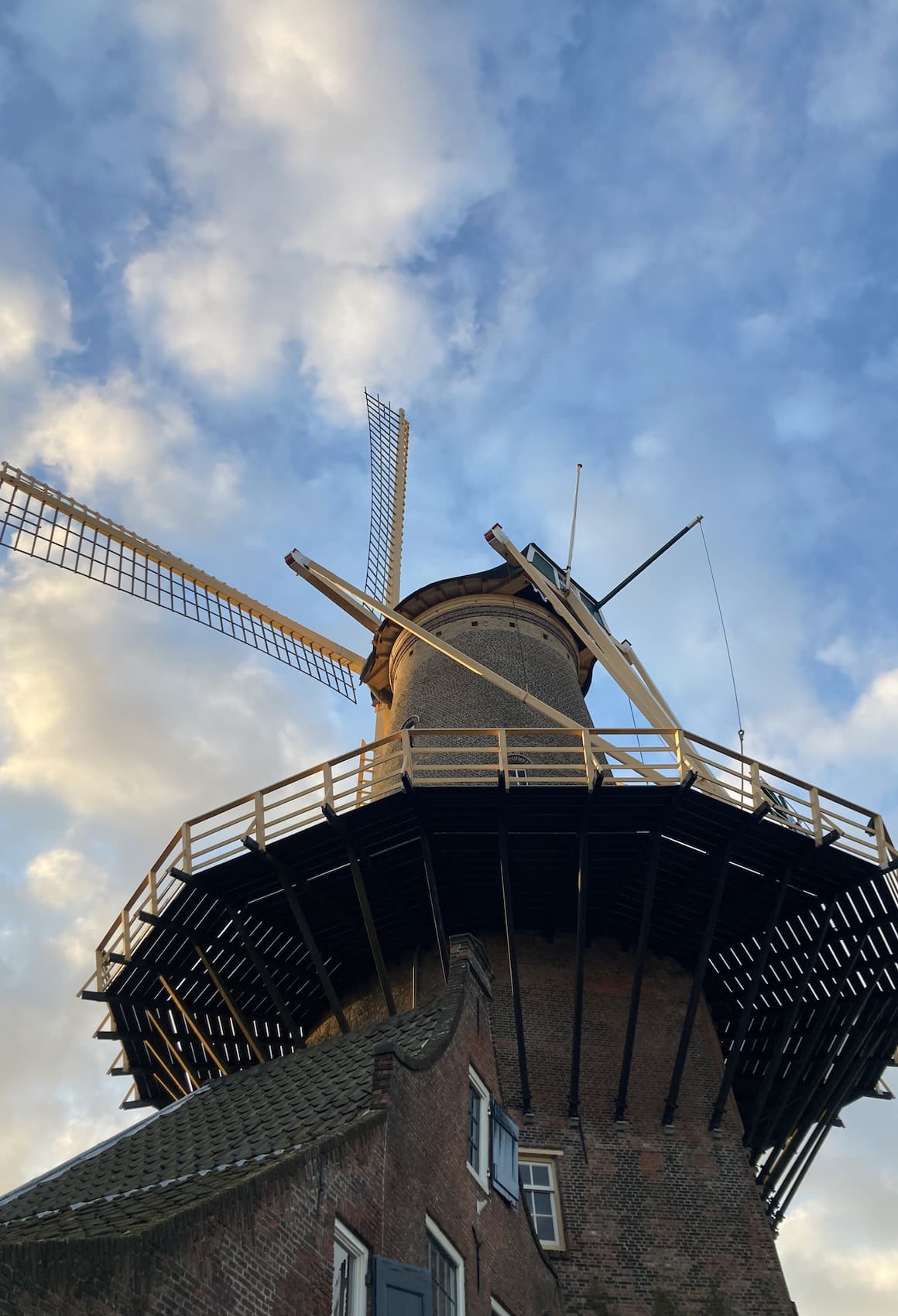 Windmill De Roos Delft