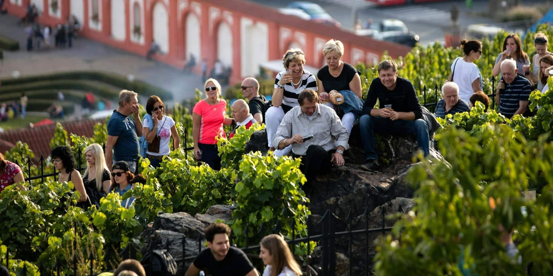 Wine tasting, South Moravia