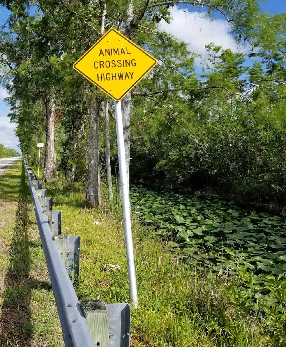 Big Cypress Fort Lauderdale