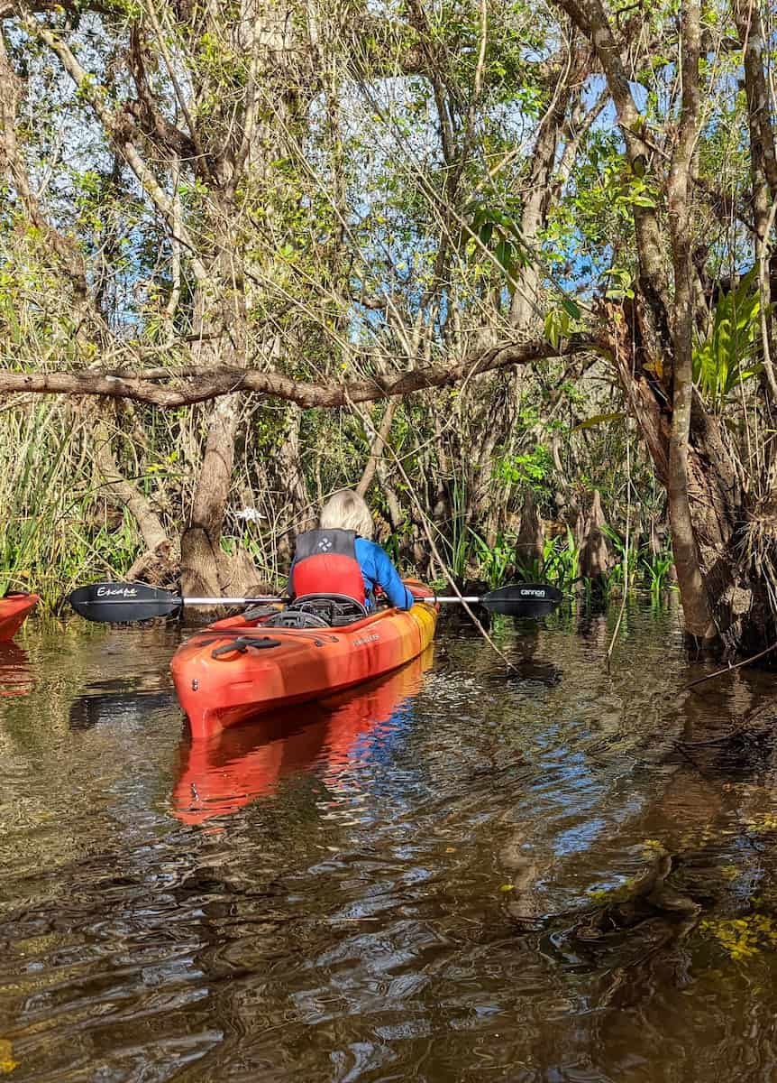 Big Cypress Fort Lauderdale