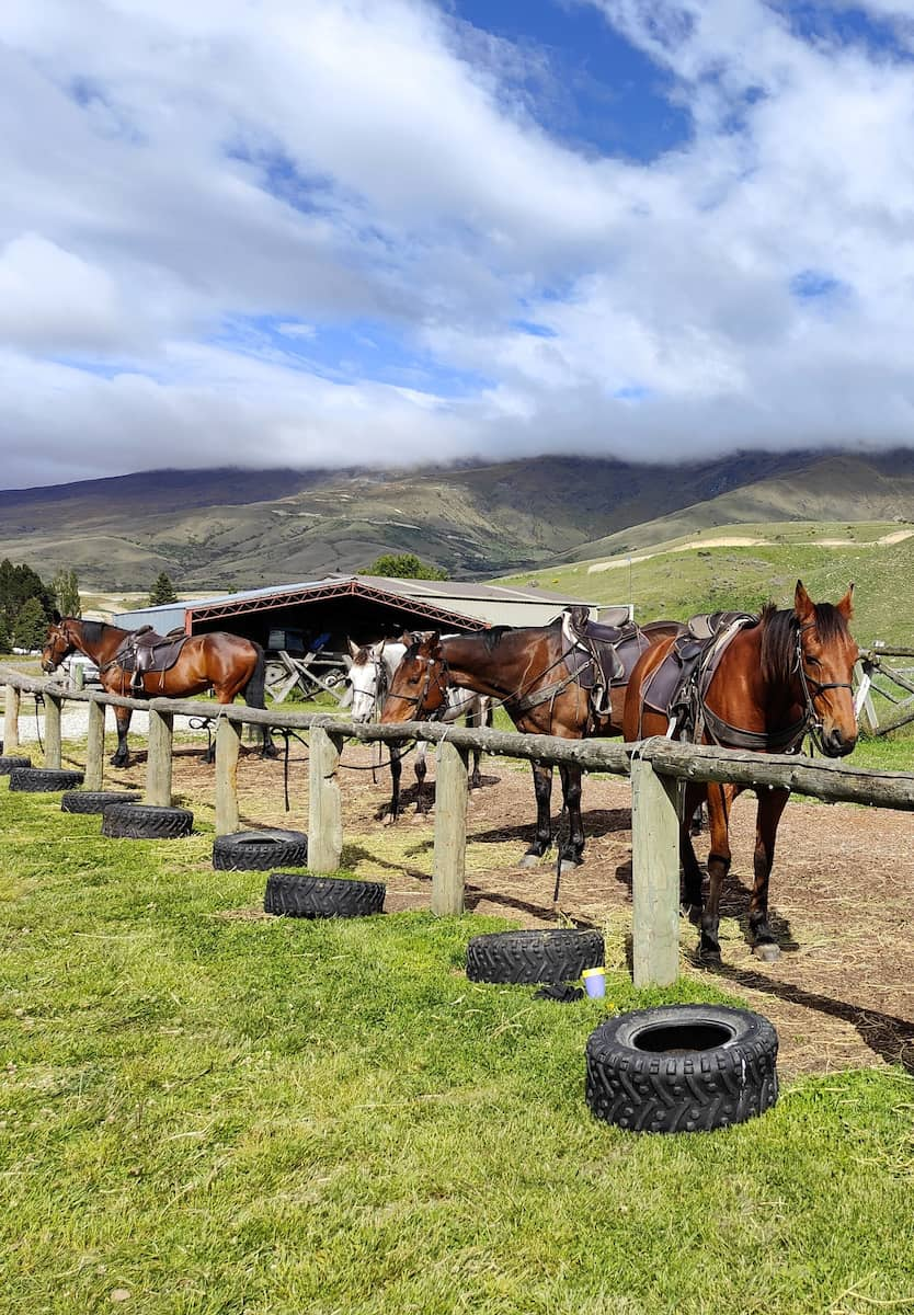 Cardrona Adventure Park