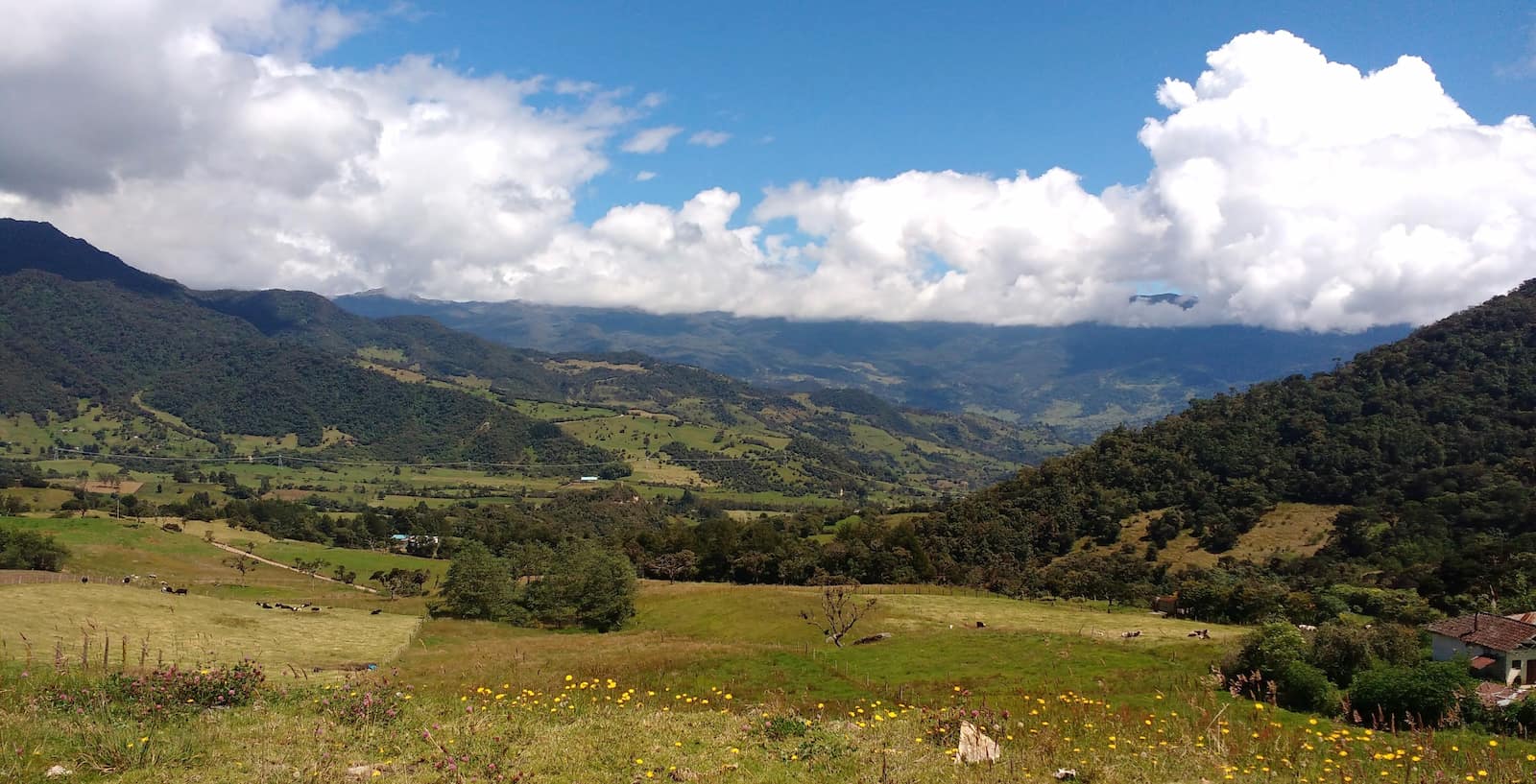 Chingaza National Park