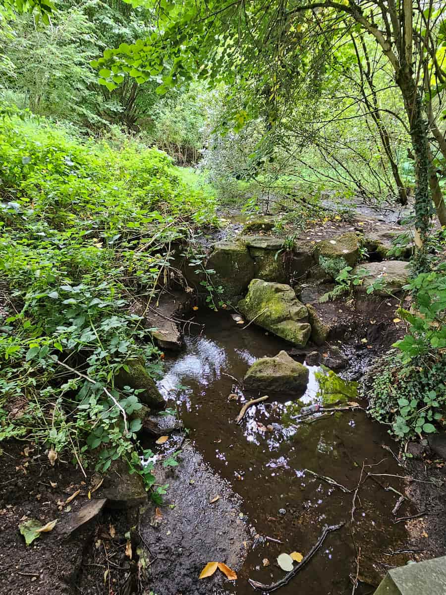 Country Park Glasgow