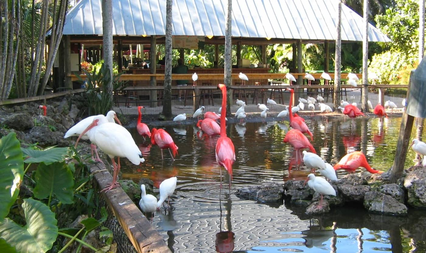 Flamingo Gardens, Fort Laiderdale