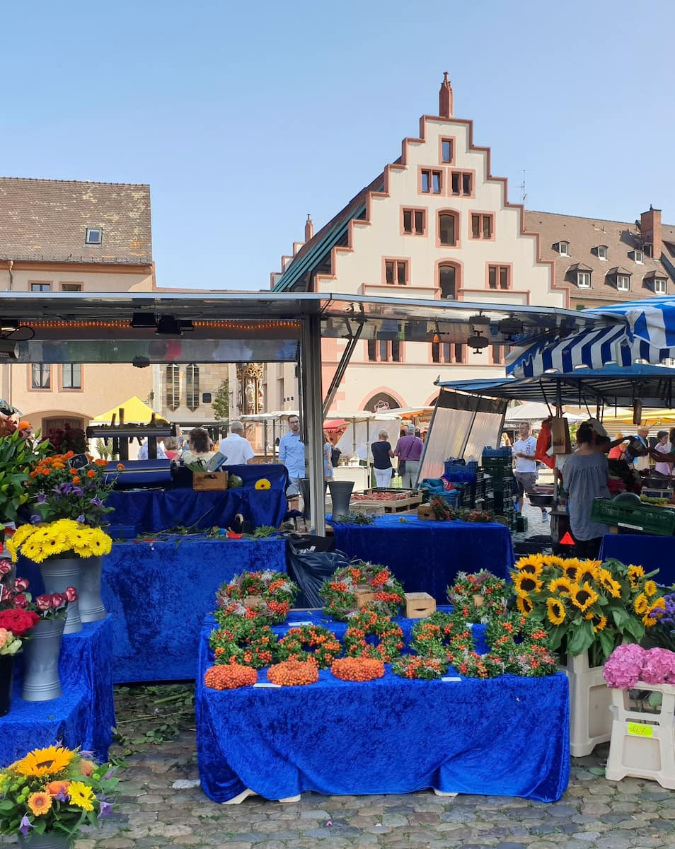 Freiburg Strasbourg