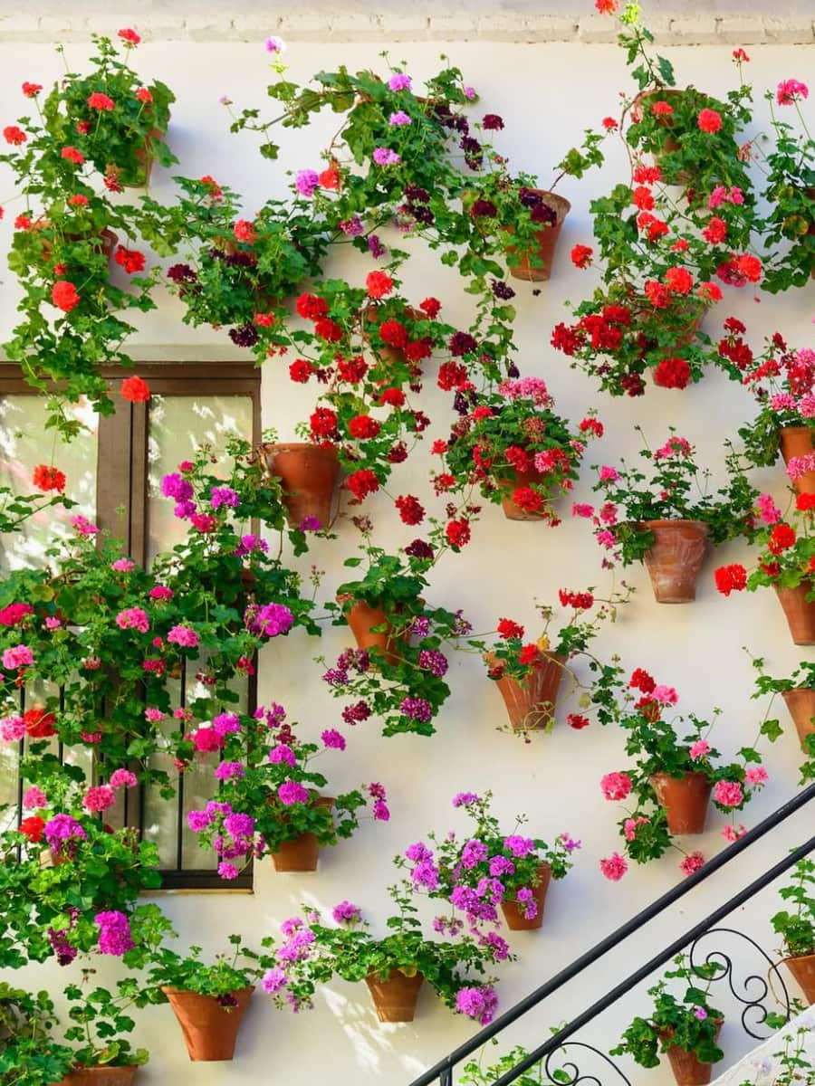 Patios Festival, Córdoba, Granada