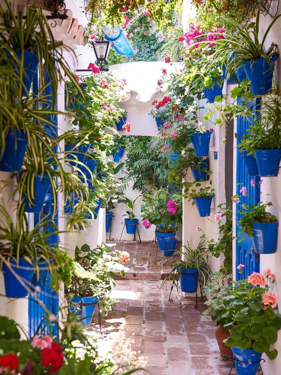 Patios Festival, Córdoba, Granada