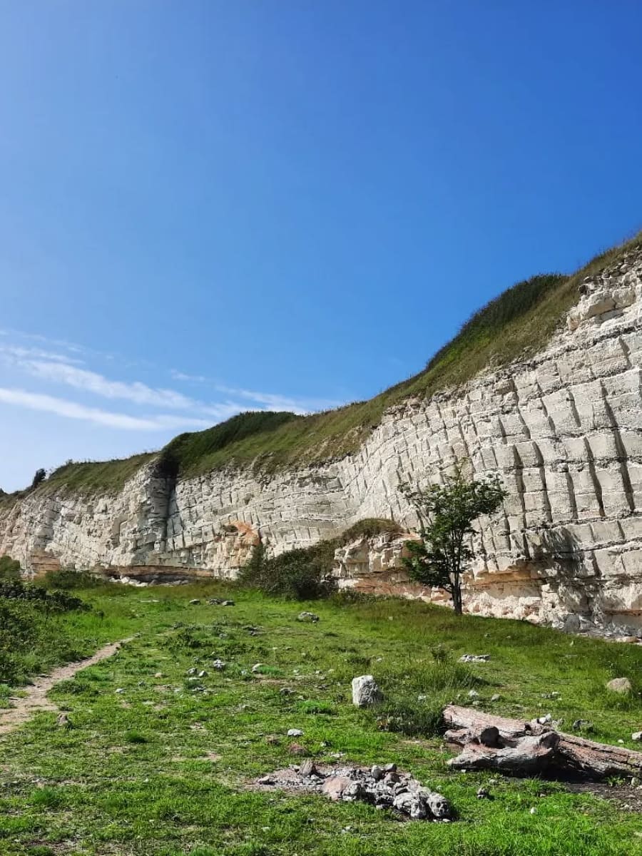 Stevns Klint, Copenhagen