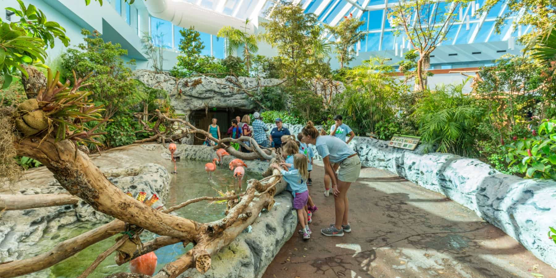 Texas State Aquarium, Dallas