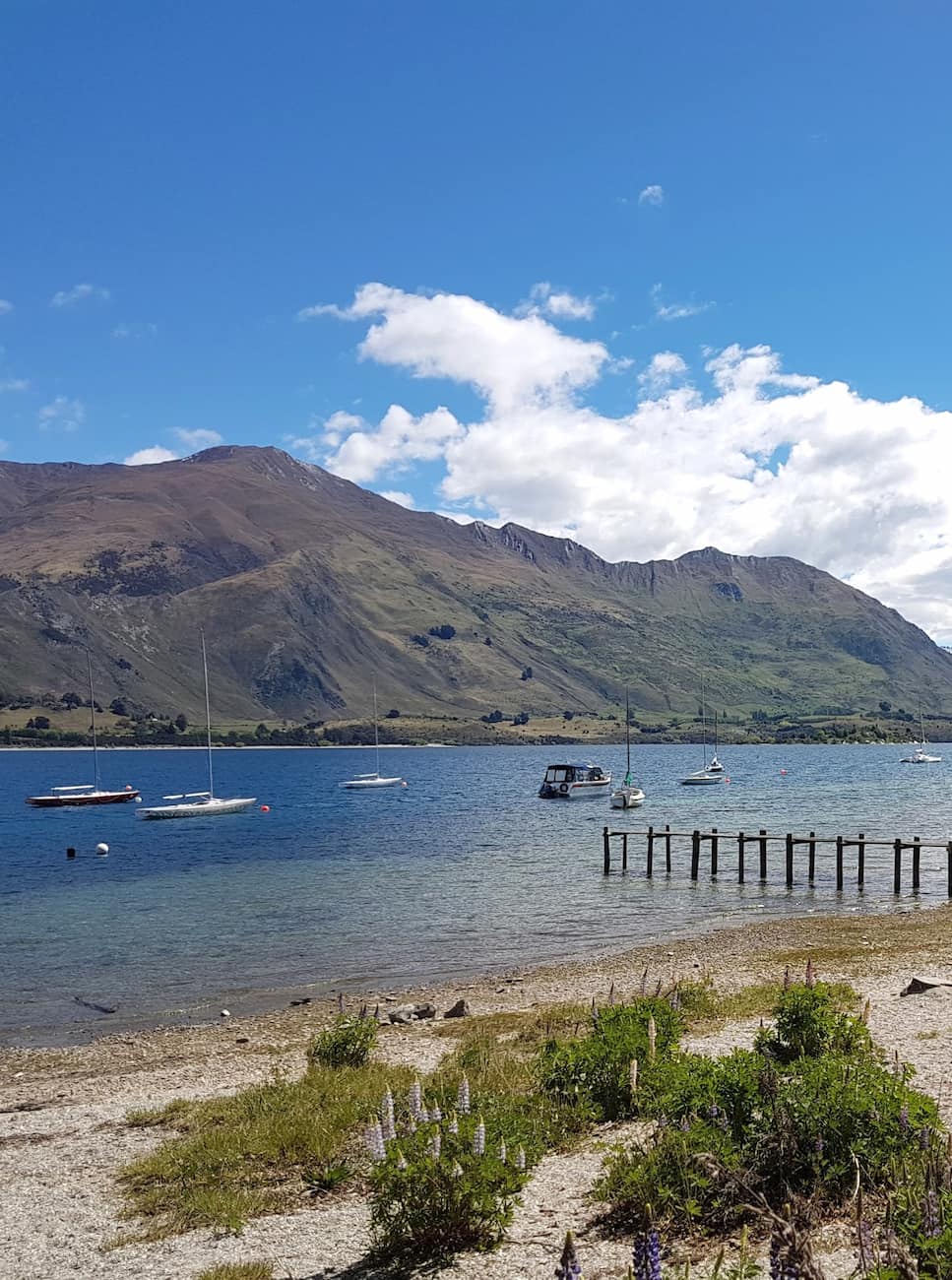 Wanaka Queenstown