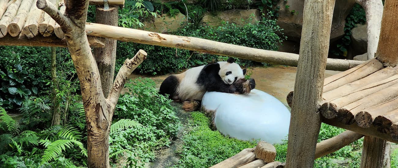 Zoo Negara