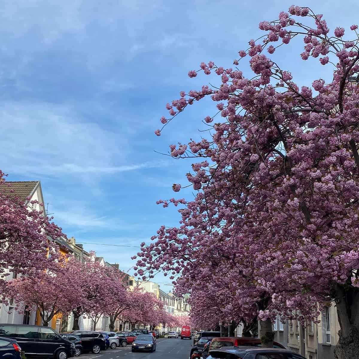 Bonn, Germany