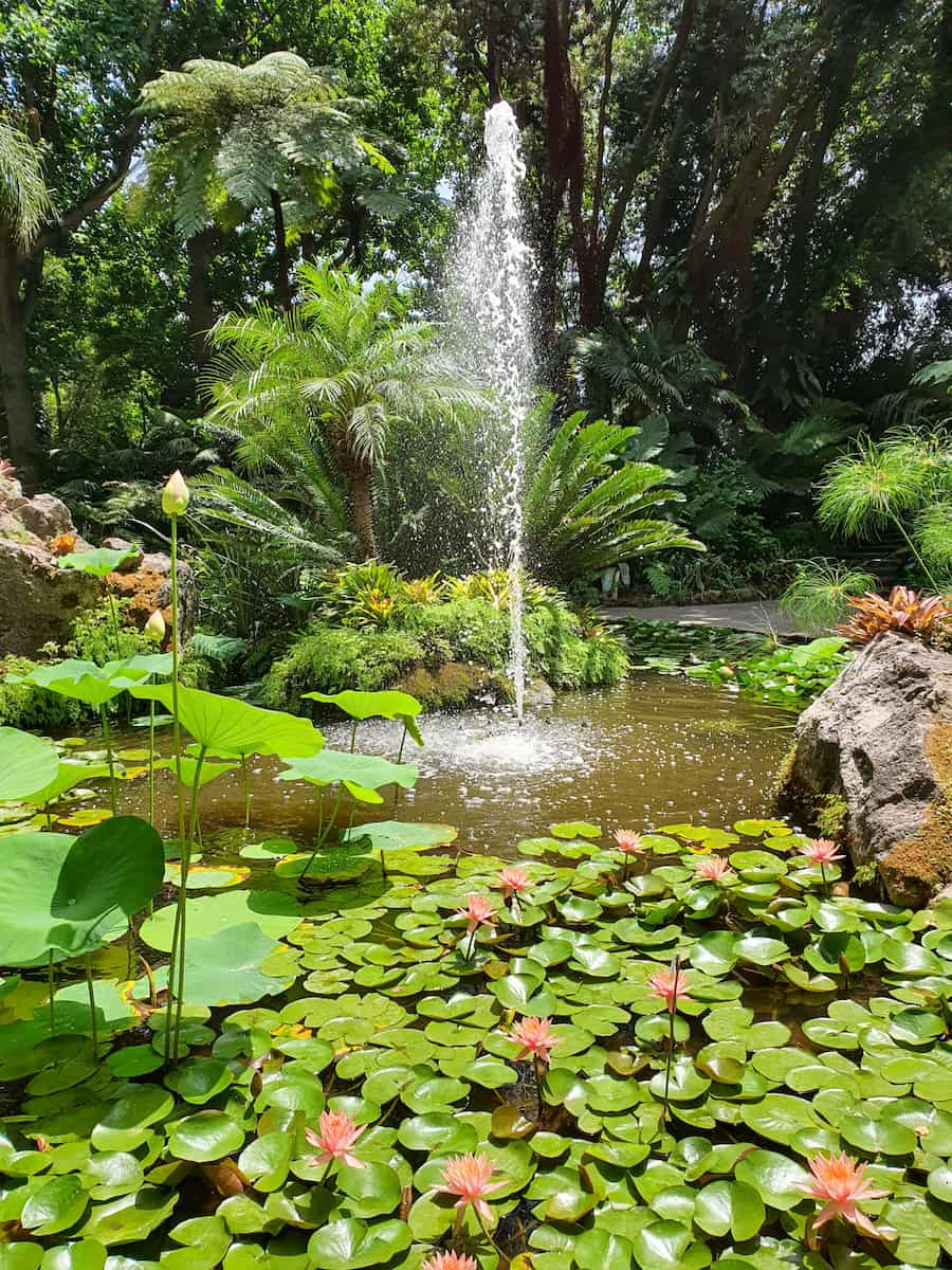 Giardini La Mortella Ischia