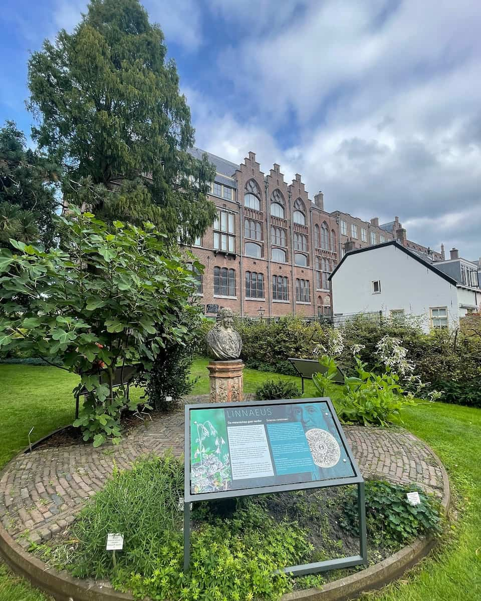 Hortus Botanicus, Leiden