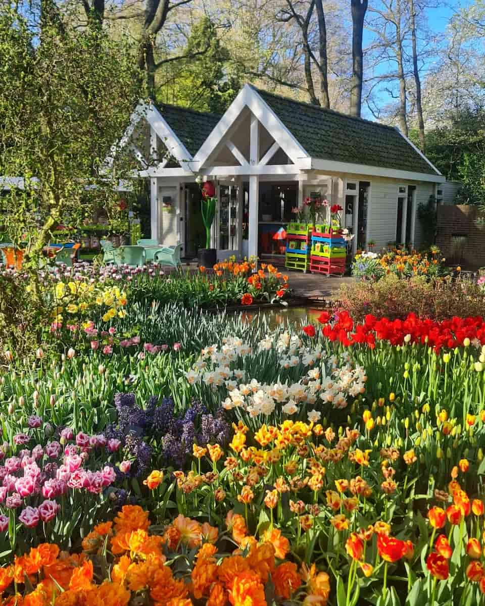 Keukenhof Gardens, Leiden