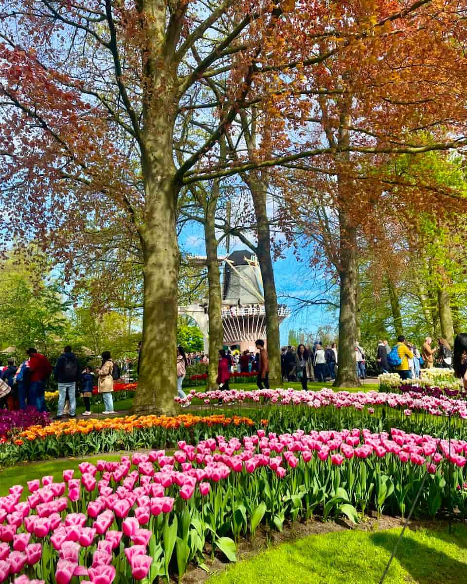 Keukenhof Gardens, Leiden