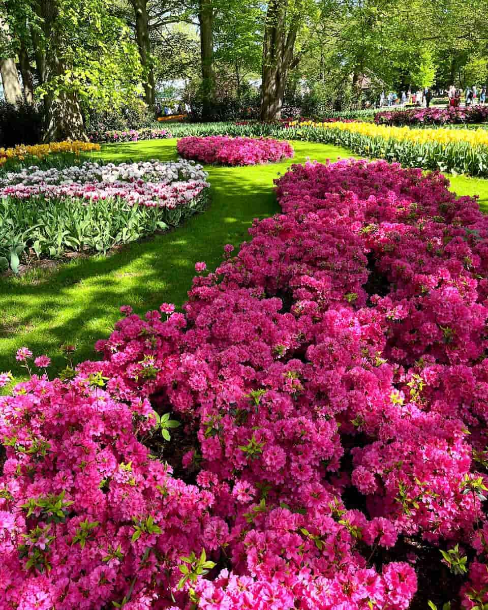 Keukenhof Gardens, Leiden