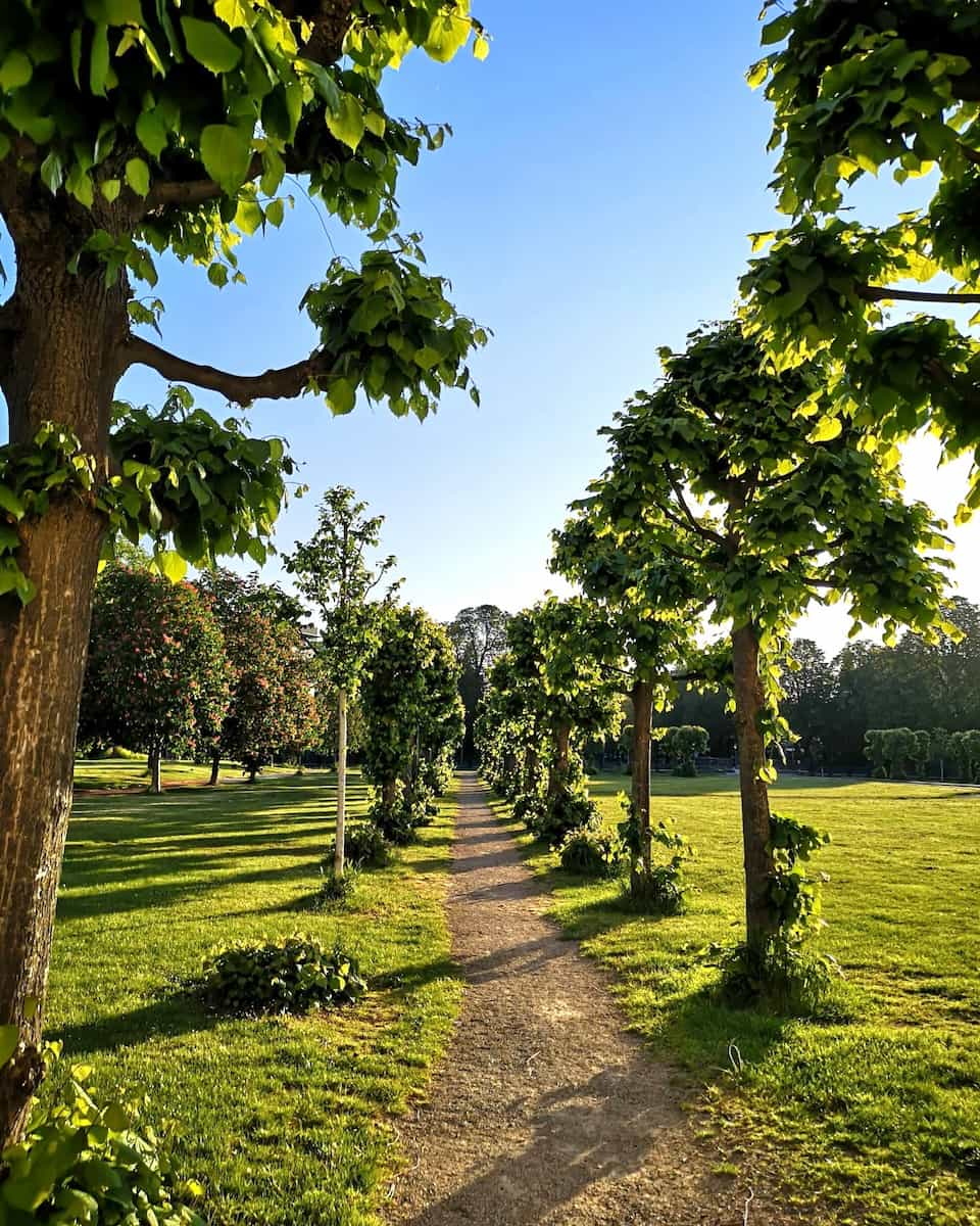 Botanical Gardens, Bonn