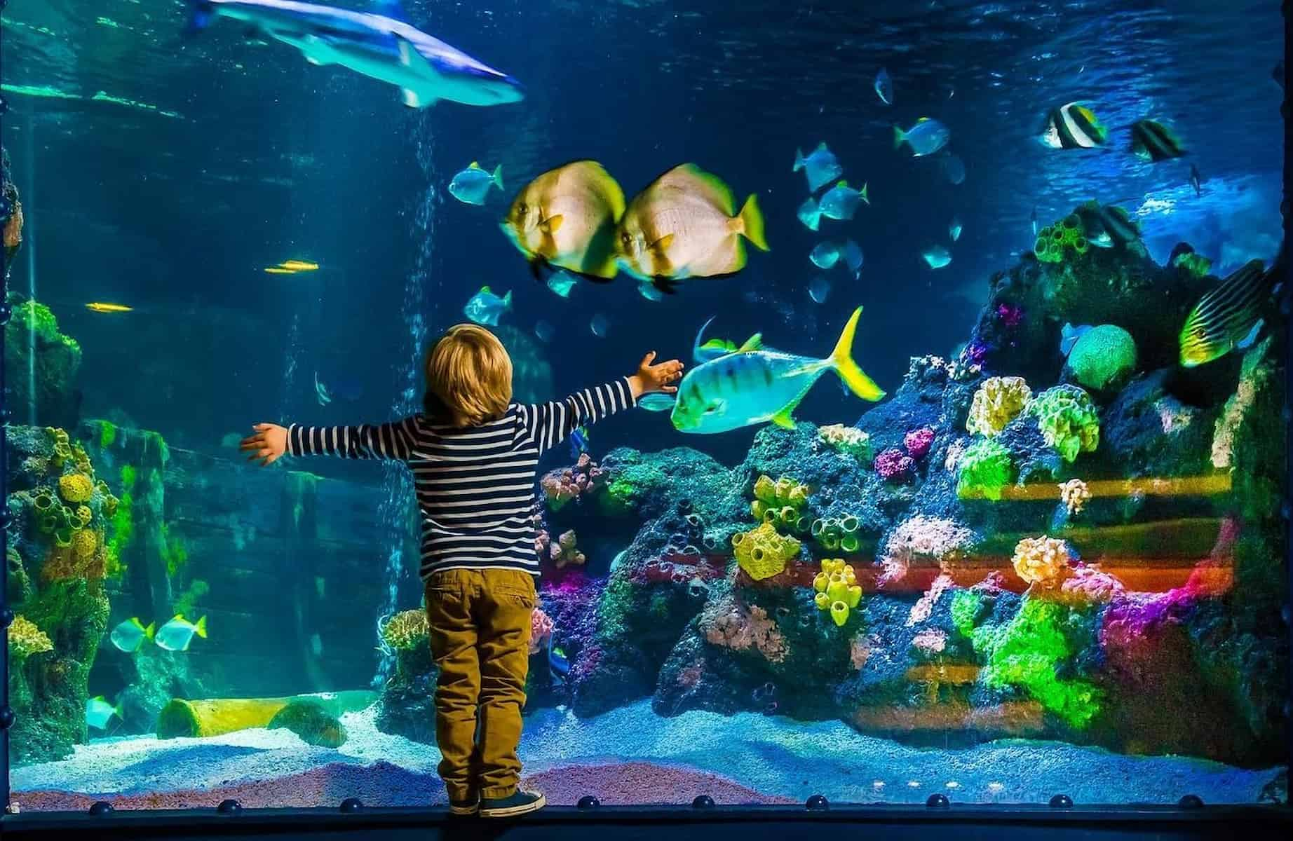 SEA LIFE, Hannover