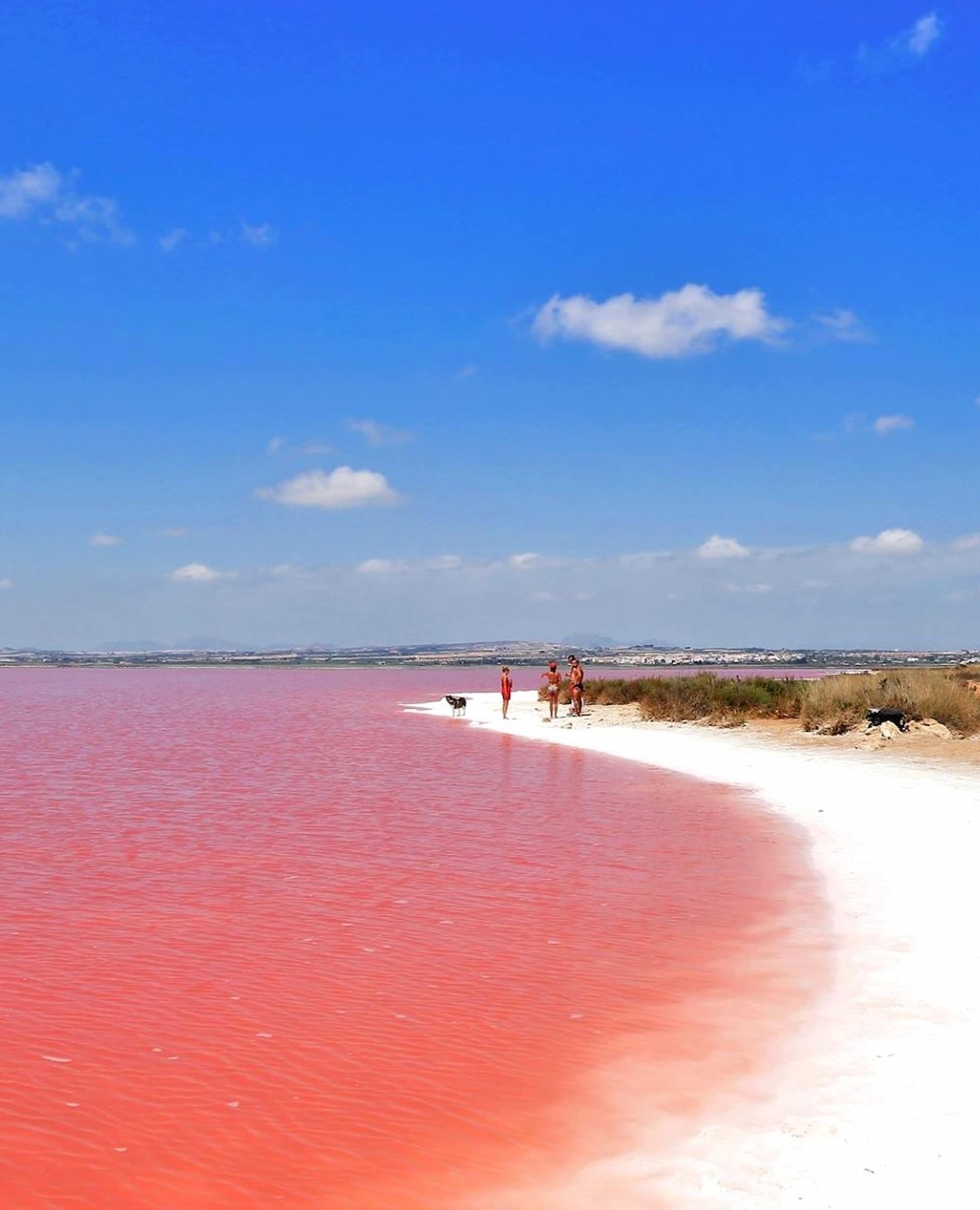 Salinas de Torrevieja