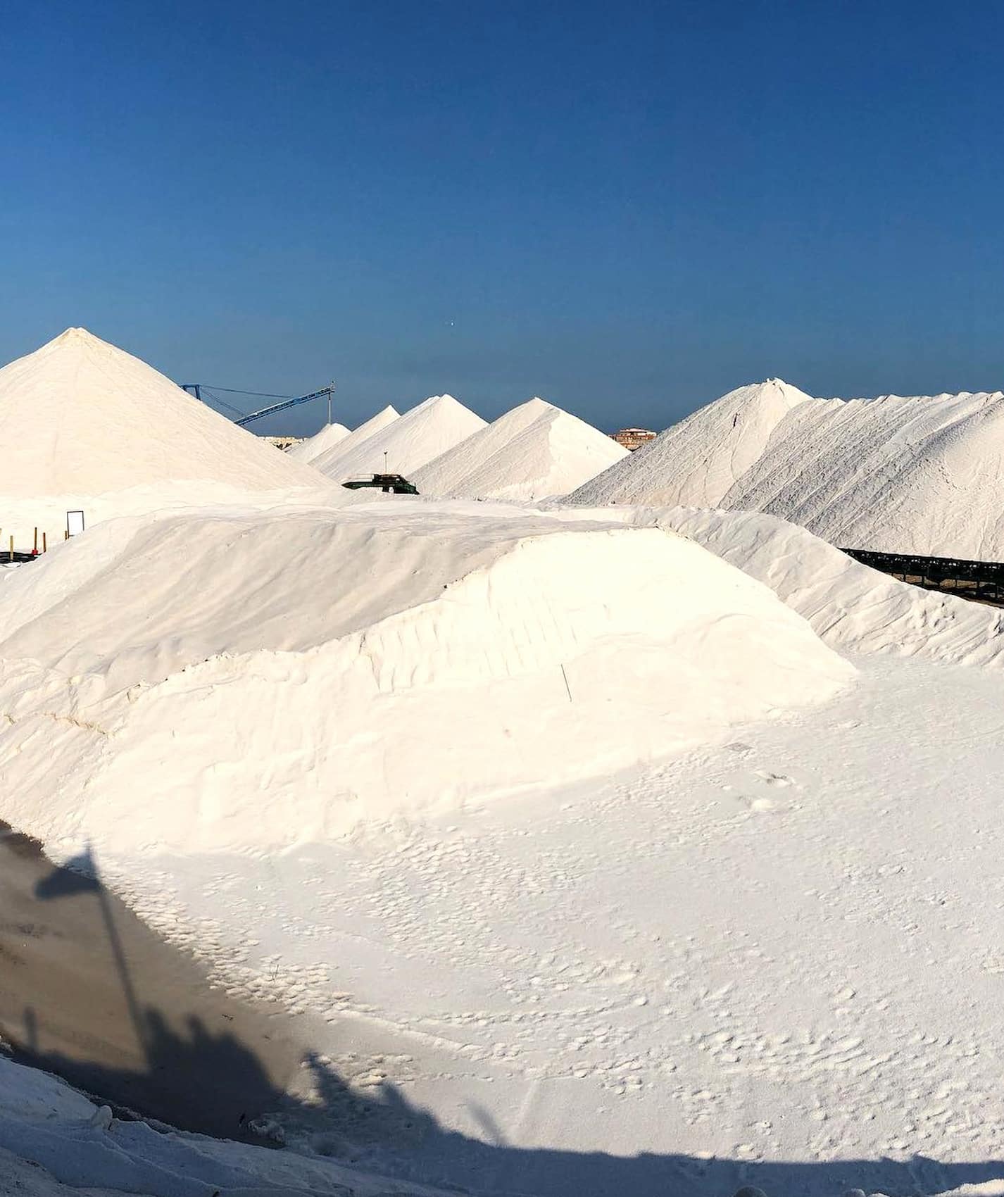 Salinas de Torrevieja