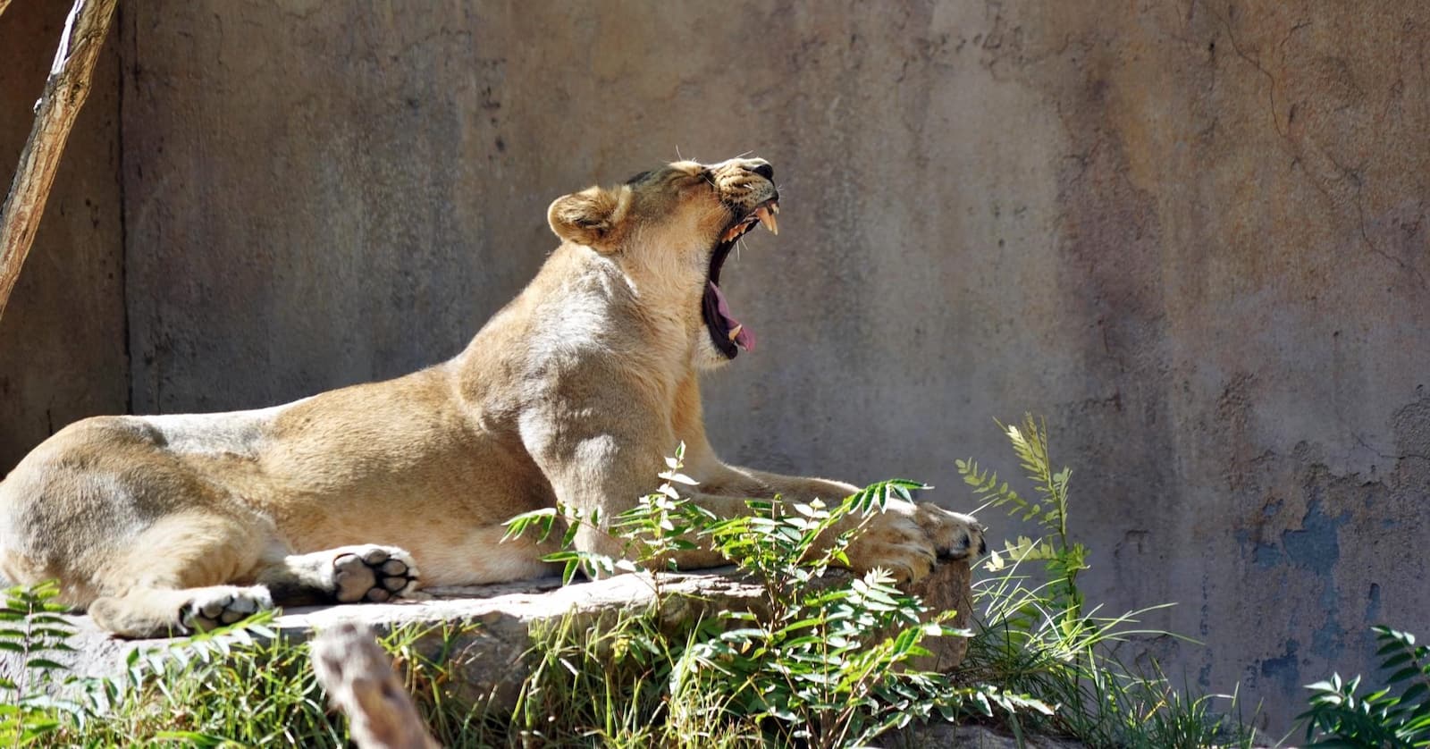 Terra Natura