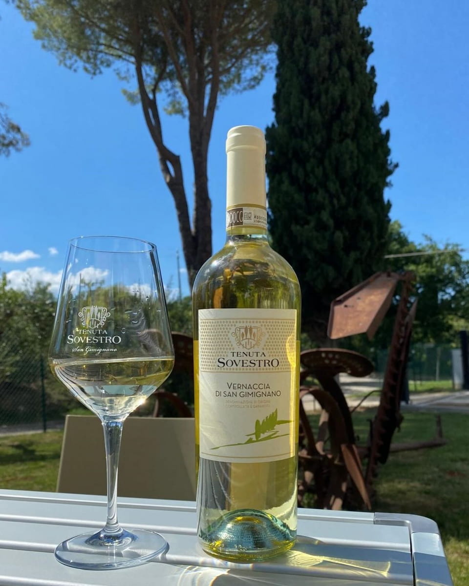 Vernaccia Wine Tasting