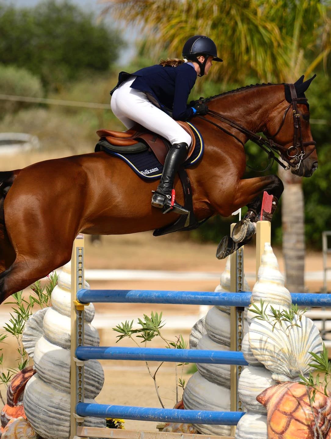 Vilamoura Equestrian Centre