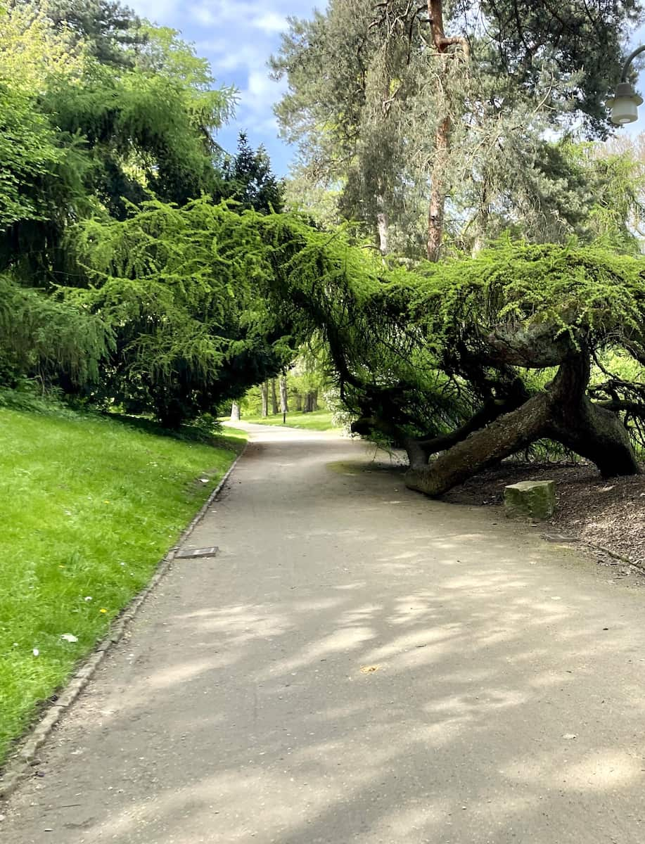 Wallanlagen Park, Bremen