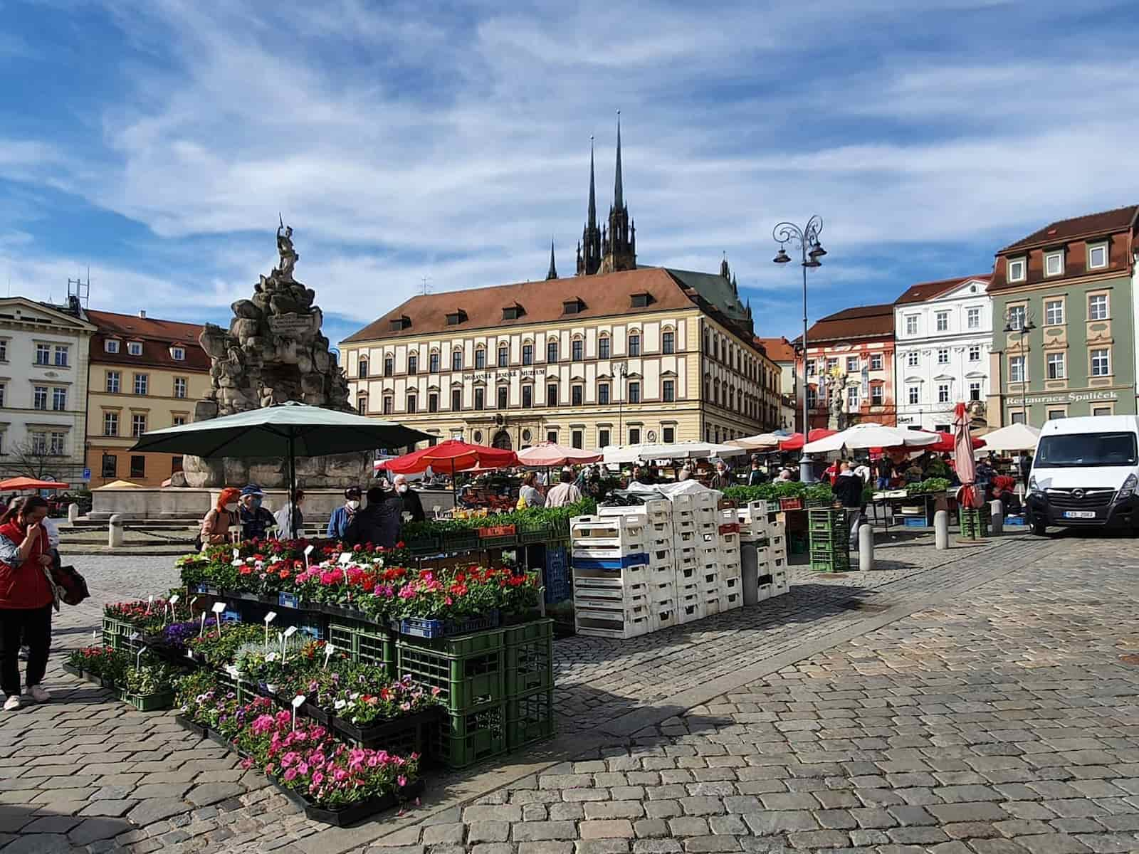 Zelný trh, Brno