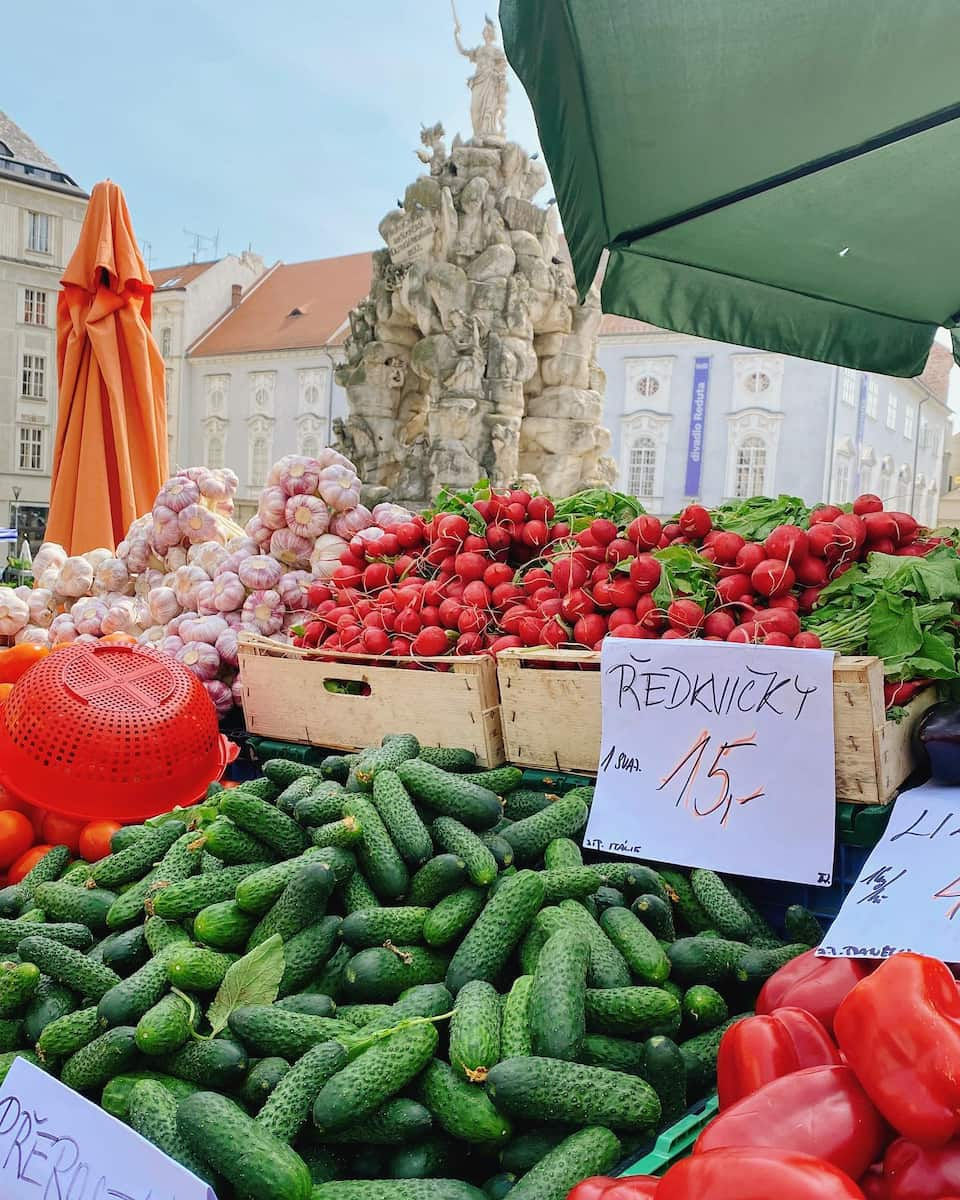 Zelný trh, Brno