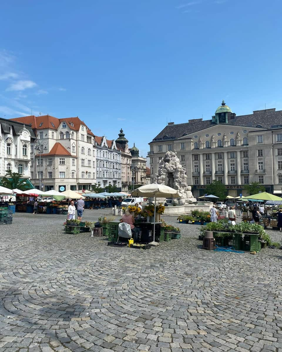 Zelný trh, Brno