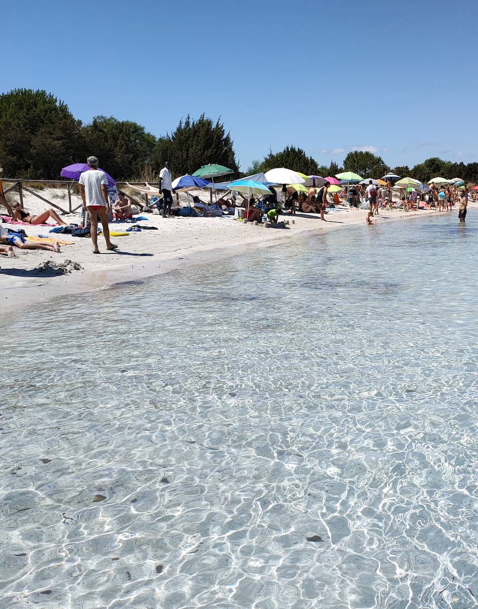 Cala Brandinchi, Olbia