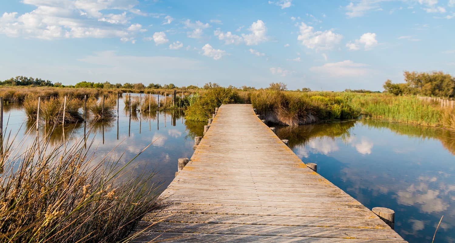 Camargue Regional Nature Park, Arles