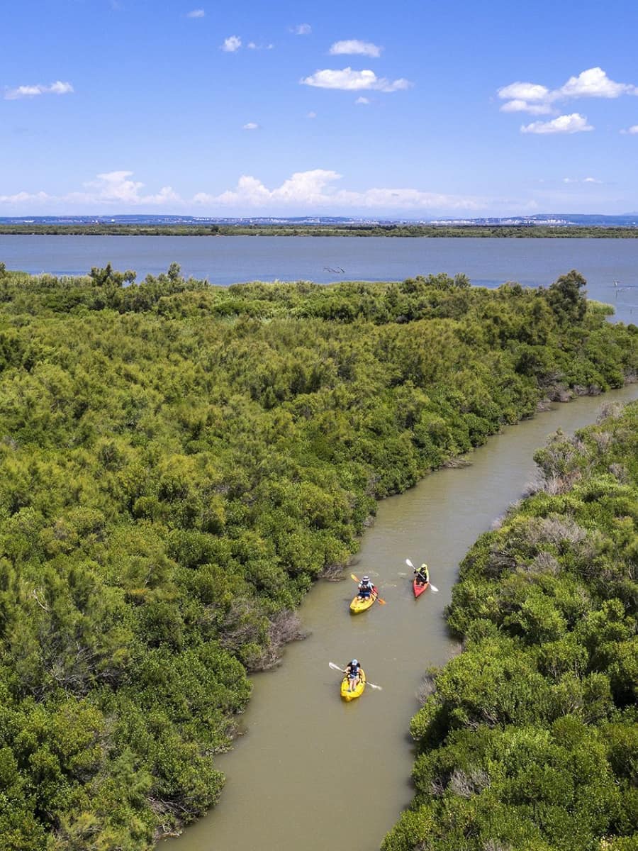 Camargue Regional Nature Park, Arles