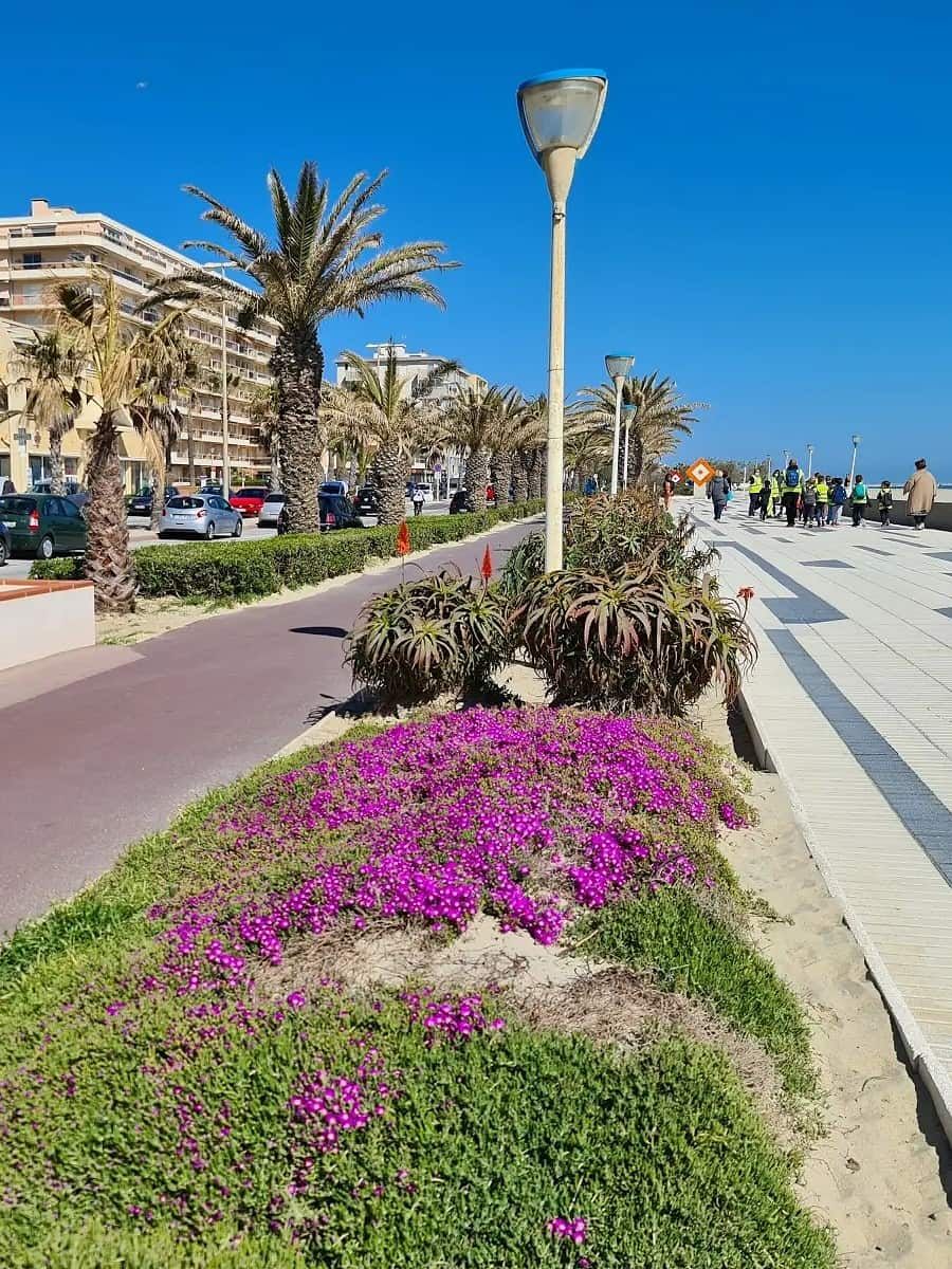 Canet-en-Roussillon, Perpignan