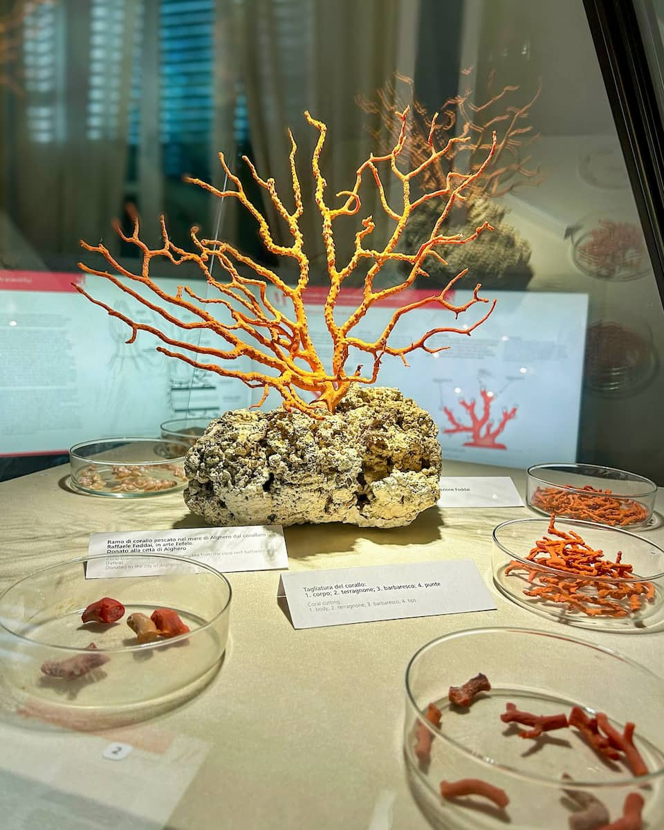 Coral Museum, Alghero