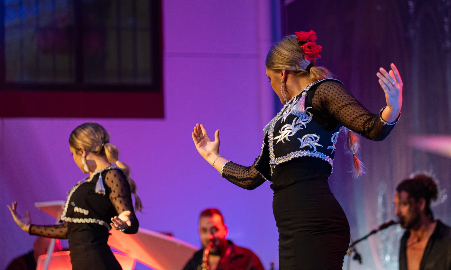 Flamenco Shows, Estepona