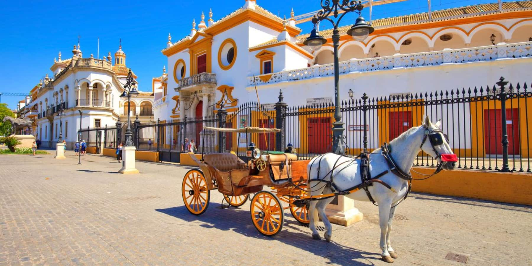 Horse Carriage, Estepona