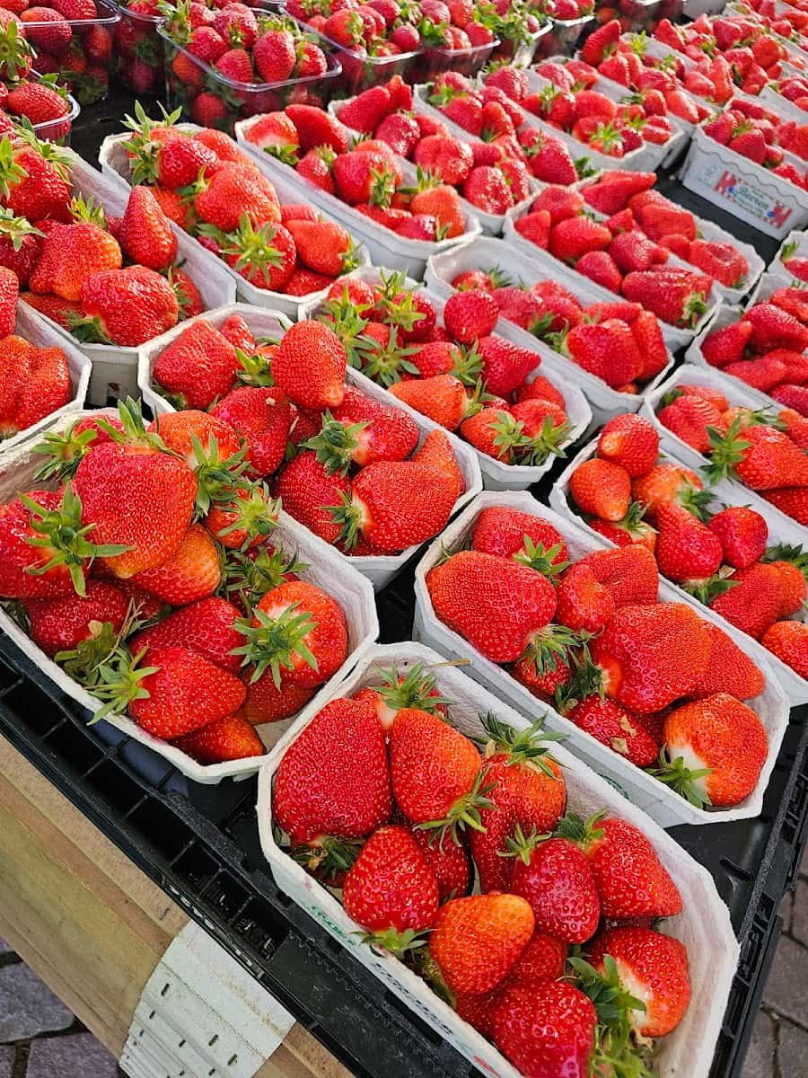 Market Schlossplatz, Wiesbaden