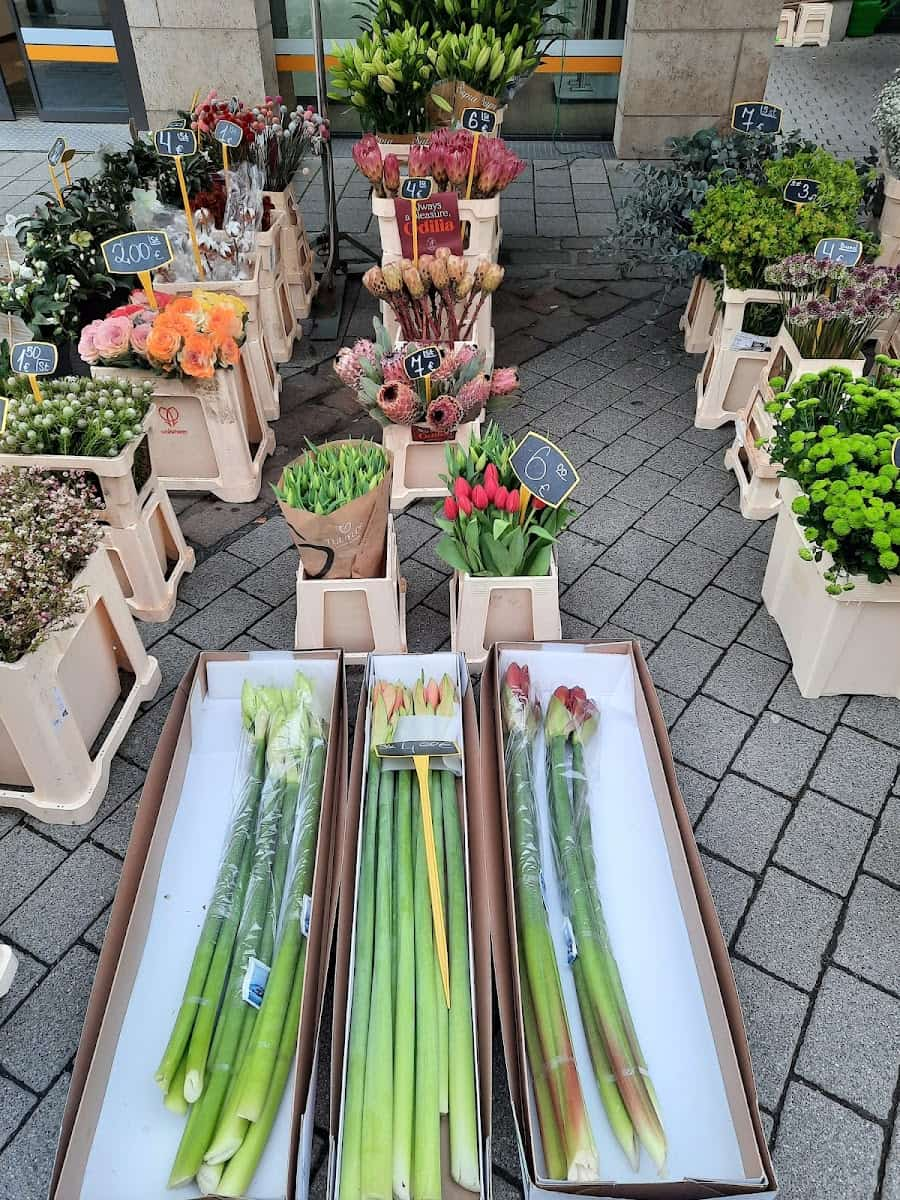 Market Schlossplatz, Wiesbaden