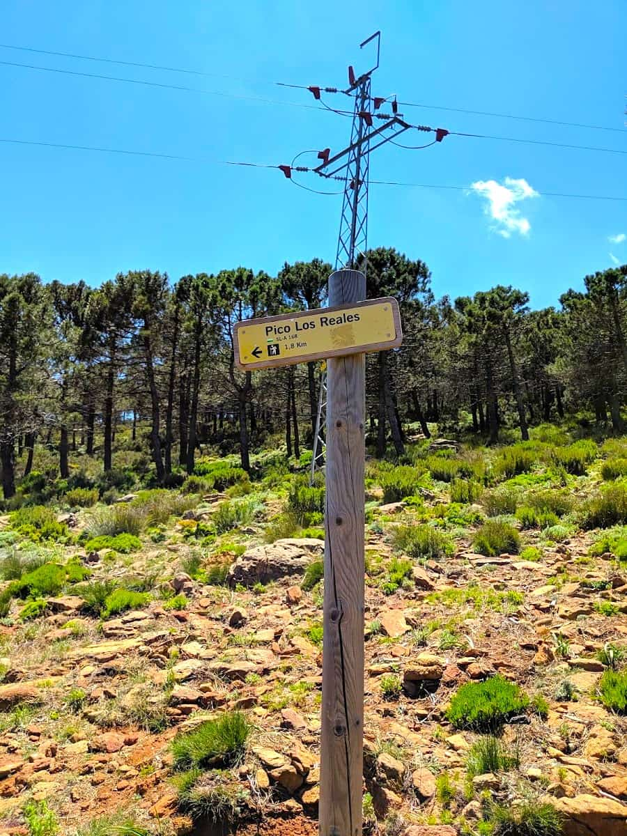 Pico de los Reales Route, Estepona