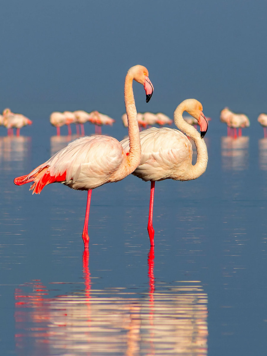 Ria Formosa Natural Park