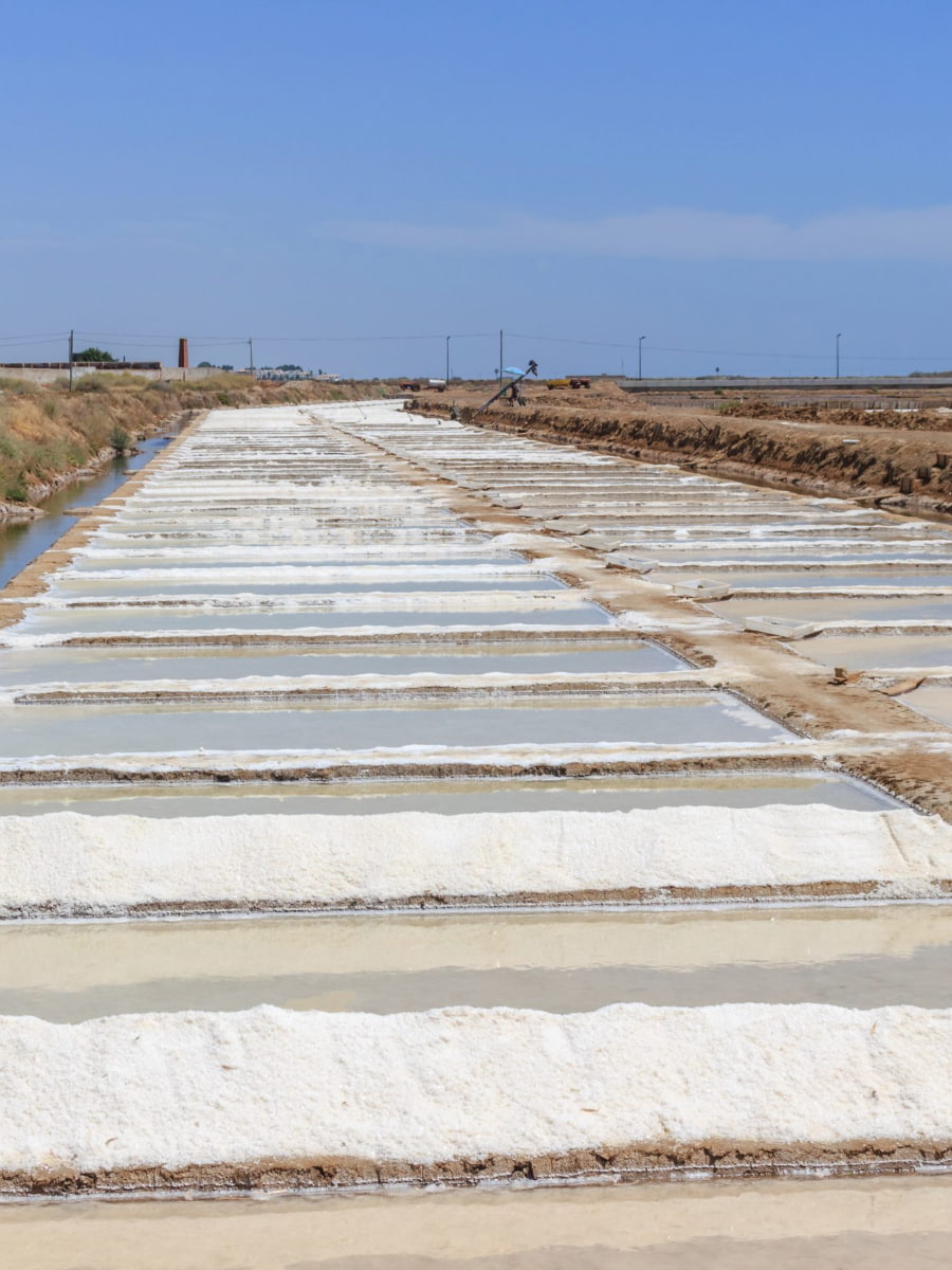 Salt Pans of Tavira