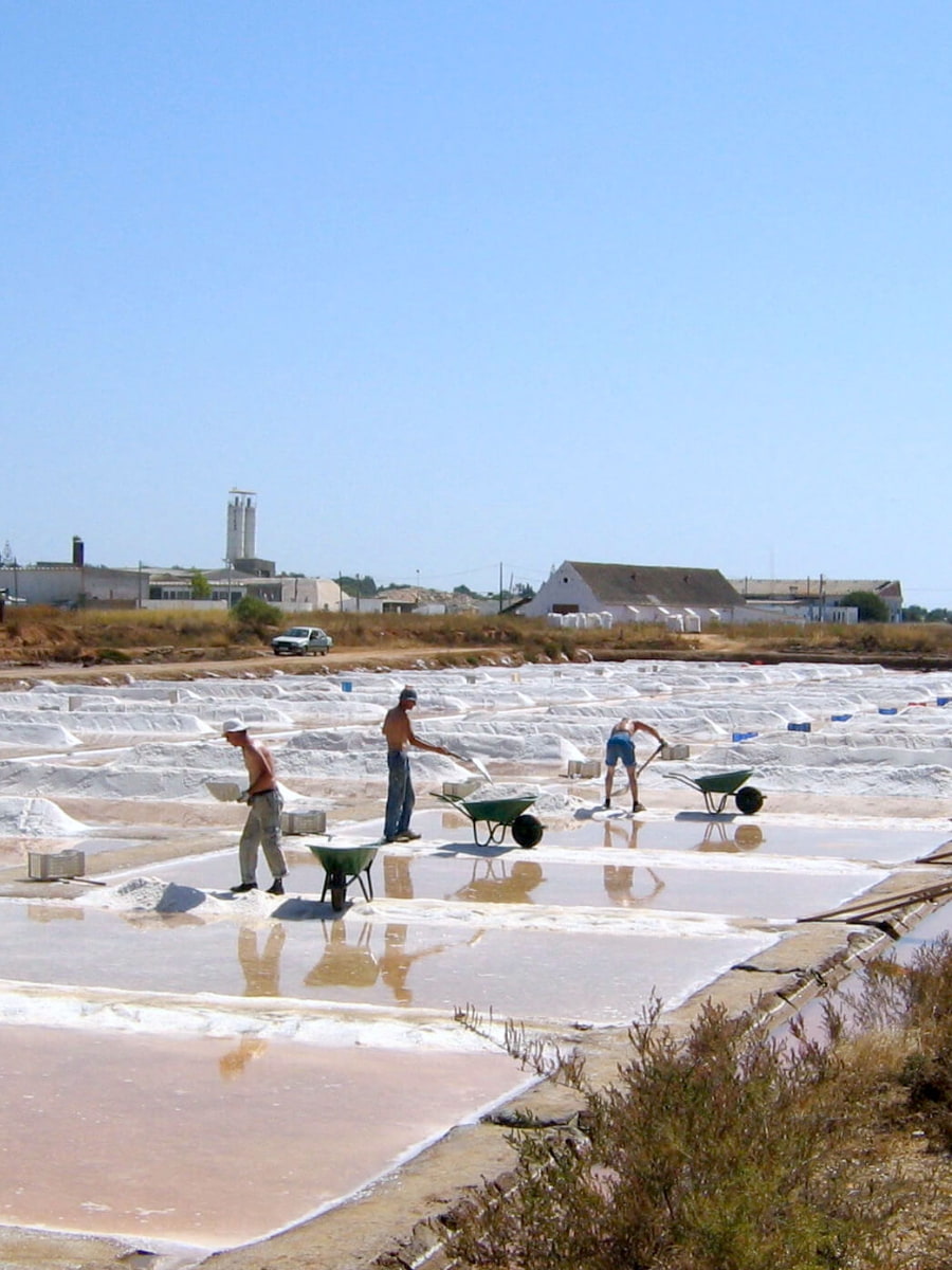 Salt Pans of Tavira