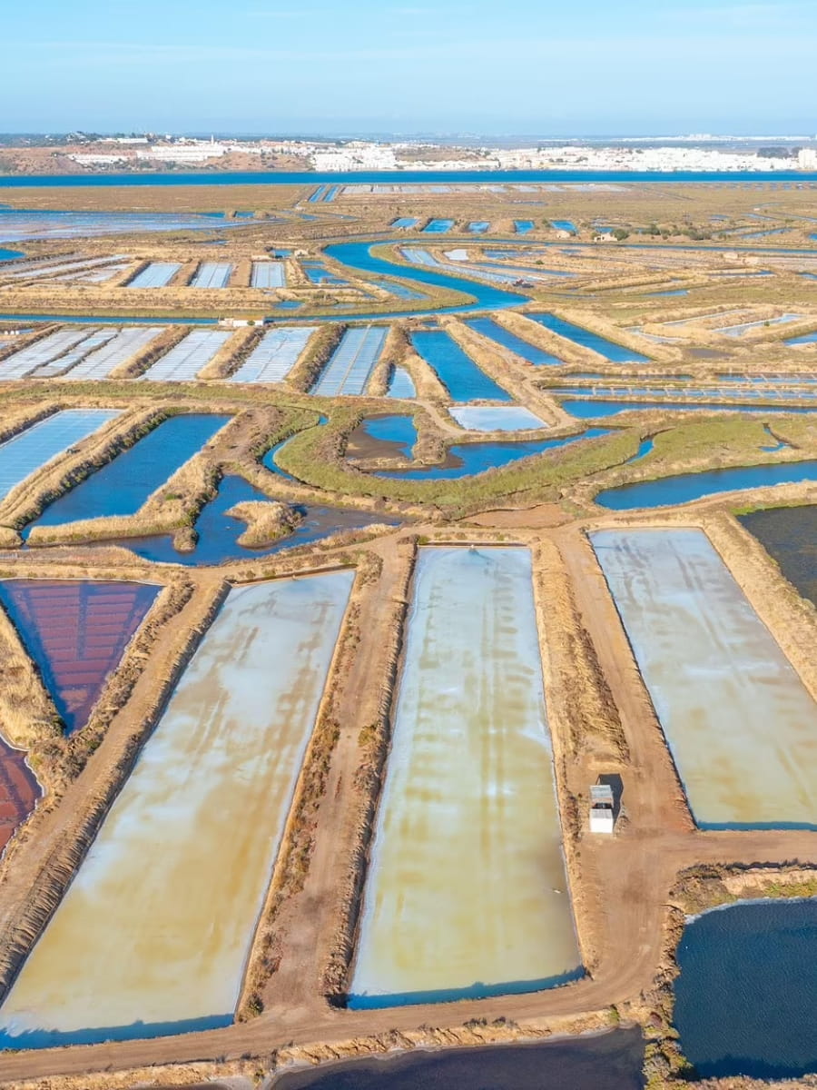 Salt Pans of Tavira