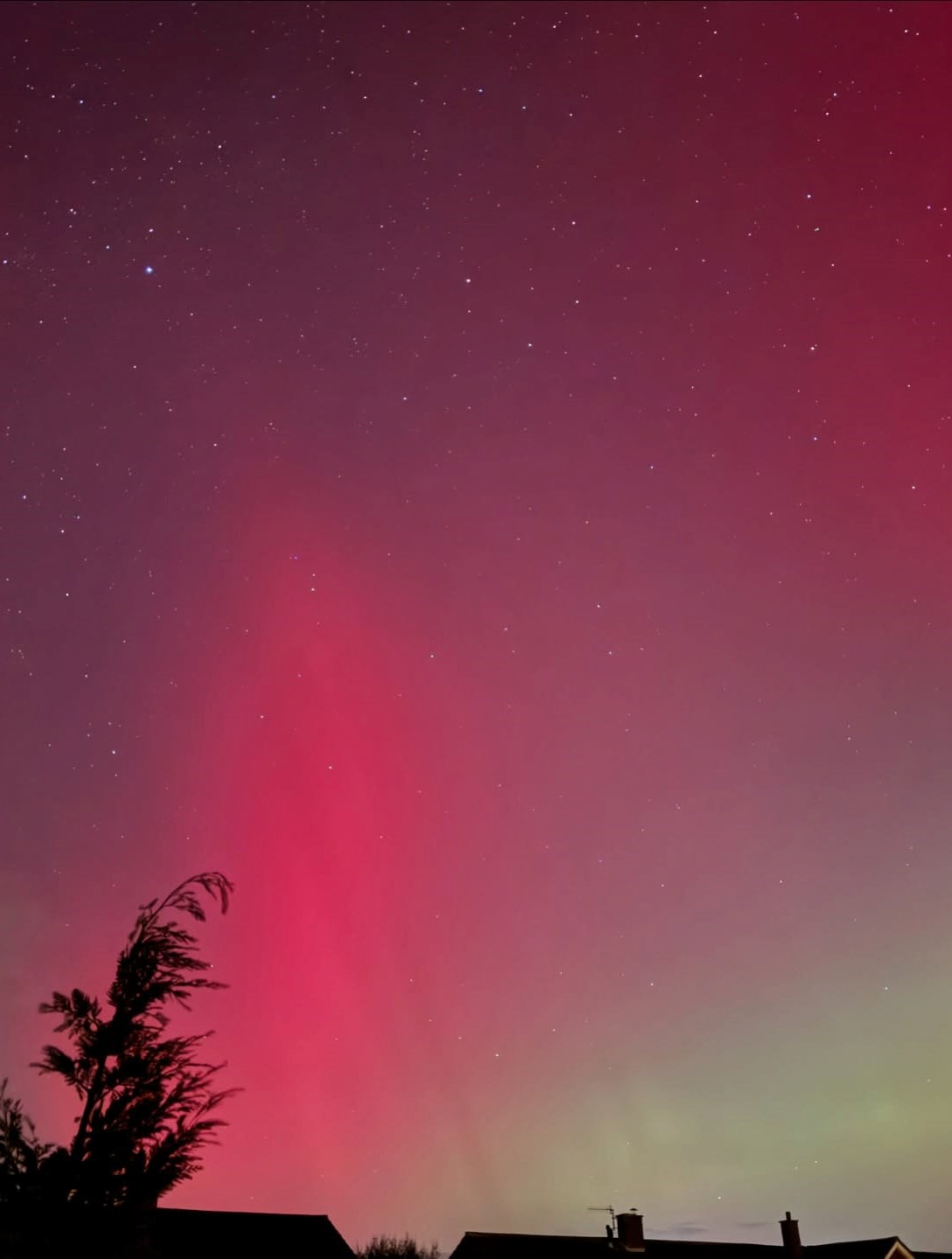 Stargazing Suffolk